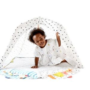 💜LOVEVERY Play Gym Cover AKA Tent NEW and unused! NICE!